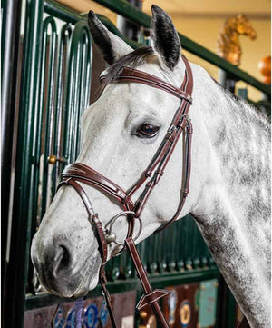 Prestige Fancy Stitched E141 Bridle| Jumper Bridles|Brand: Prestige Italia