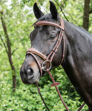 Renaissance Fancy Stitched E141 Bridle| Jumper Bridles|Brand: Renaissance Saddles