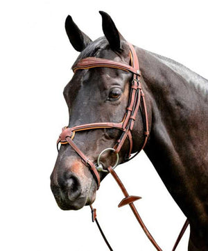 Renaissance FR-E142 Figure 8 Bridle with Fancy Stitching| Jumper Bridles|Brand: Renaissance Saddles