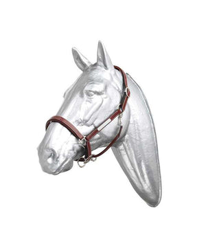 Prestige Halter with Fancy Stitching| Halters|Brand: Prestige Italia