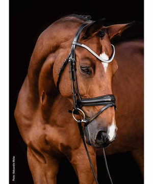 Schockemohle SP Isabell Werth Jonny Bridle.