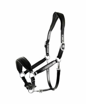 Schockemohle Fremont Anatomic Halter.
