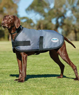 Weatherbeeta ComfiTec Classic Dog Coat| Dog Blankets|Brand: Weatherbeeta