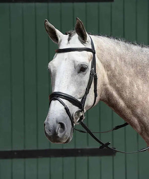 Collegiate Essential Padded Raised Flash Bridle.