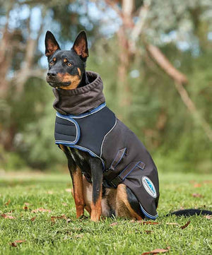 Weatherbeeta Ultra Cozy Dog Coat.
