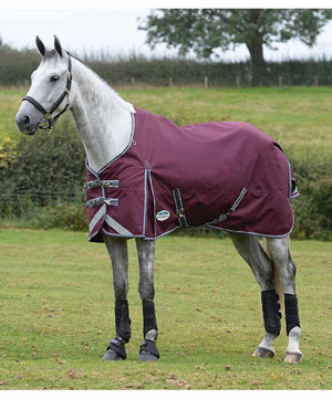 Weatherbeeta Comfitec Plus Dynamic II 100g Turnout.