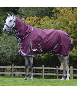 CLEAROUT- WB Comfitec Plus Dynamic II Detach-A-Neck Medium Turnout Blanket