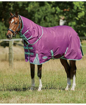 Weatherbeeta Premier Freedom Pony D.A.N Medium Turnout.
