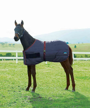 Weatherbeeta Newborn Foal Rug 28