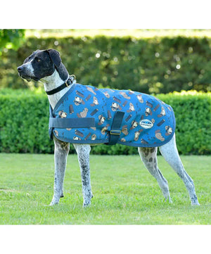 Weatherbeeta Comfitec Essential Dog Blanket.