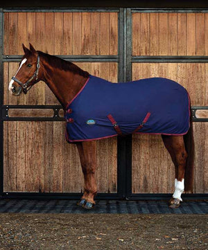 Weatherbeeta Cotton Sheet Standard Neck.