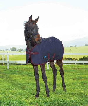 Weatherbeeta 1200D Foal Standard Neck Medium Turnout, FW25.