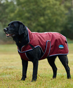 Weatherbeeta Comfitec Premier Deluxe Waterproof Dog Blanket.