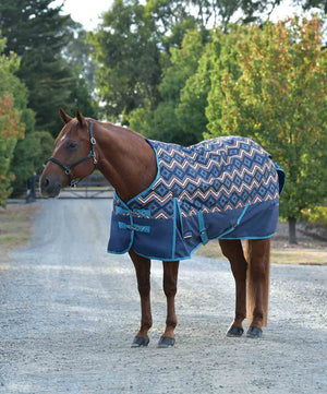 Weatherbeeta ComfiTec Essential Standard Neck Medium Blanket.