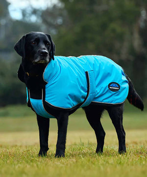 Weatherbeeta Comfitec Reflective 300D Showerproof Dog Blanket.