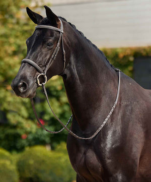 Dublin Mono Crown Padded Fancy Stitched Bridle.