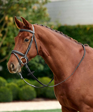 Dublin Padded Flash Bridle.