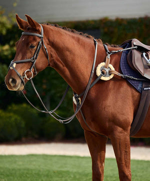 Dublin 5 Point Event Breastplate.