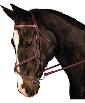Kincade Padded Figure 8 Bridle| Jumper Bridles|Brand: Kincade