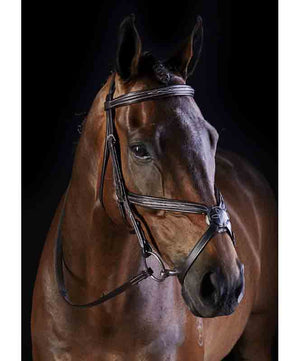 Collegiate Mono Crown Fancy Stitched Raised Figure 8 Bridle.