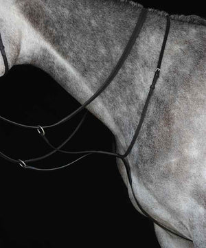 Collegiate Running Martingale IV| Running Martingales|Brand: Collegiate