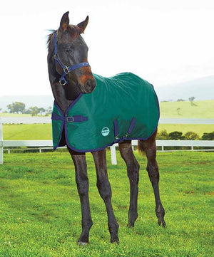 Weatherbeeta 1200D Foal Standard Neck Medium II Turnout| Medium Turnout Blankets|Brand: Weatherbeeta