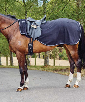 Horse wearing Weatherbeeta quarter sheet in Navy.