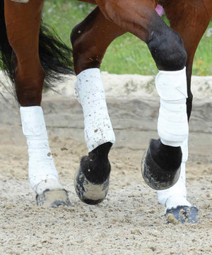 Weatherbeeta Prime Fleece Polo Bandages.