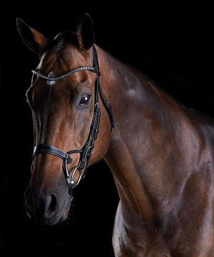 Collegiate Comfitec Crystal Browband Bridle.