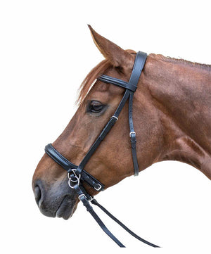 Waldhausen Star Bitless Bridle.