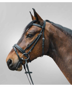 Waldhausen Star Diamond Bridle with Flash, Black.