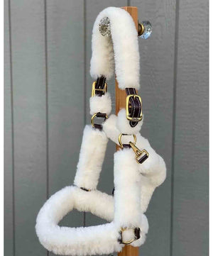 Walsh Shipping Leather Halter with Sheepskin.