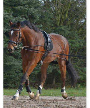 Waldhausen Lunging System| Training Equipment|Brand: Waldhausen