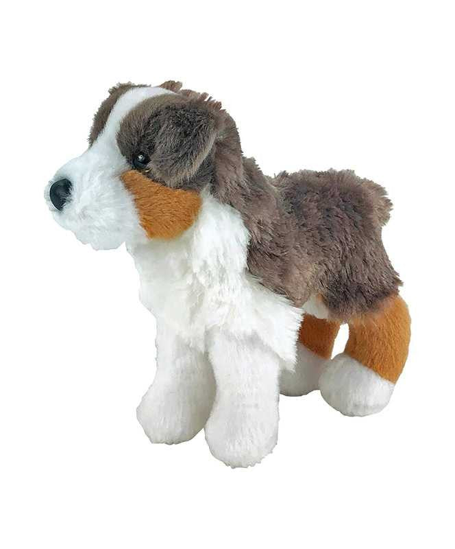 Big Country Big Sway Australian Shepherd.