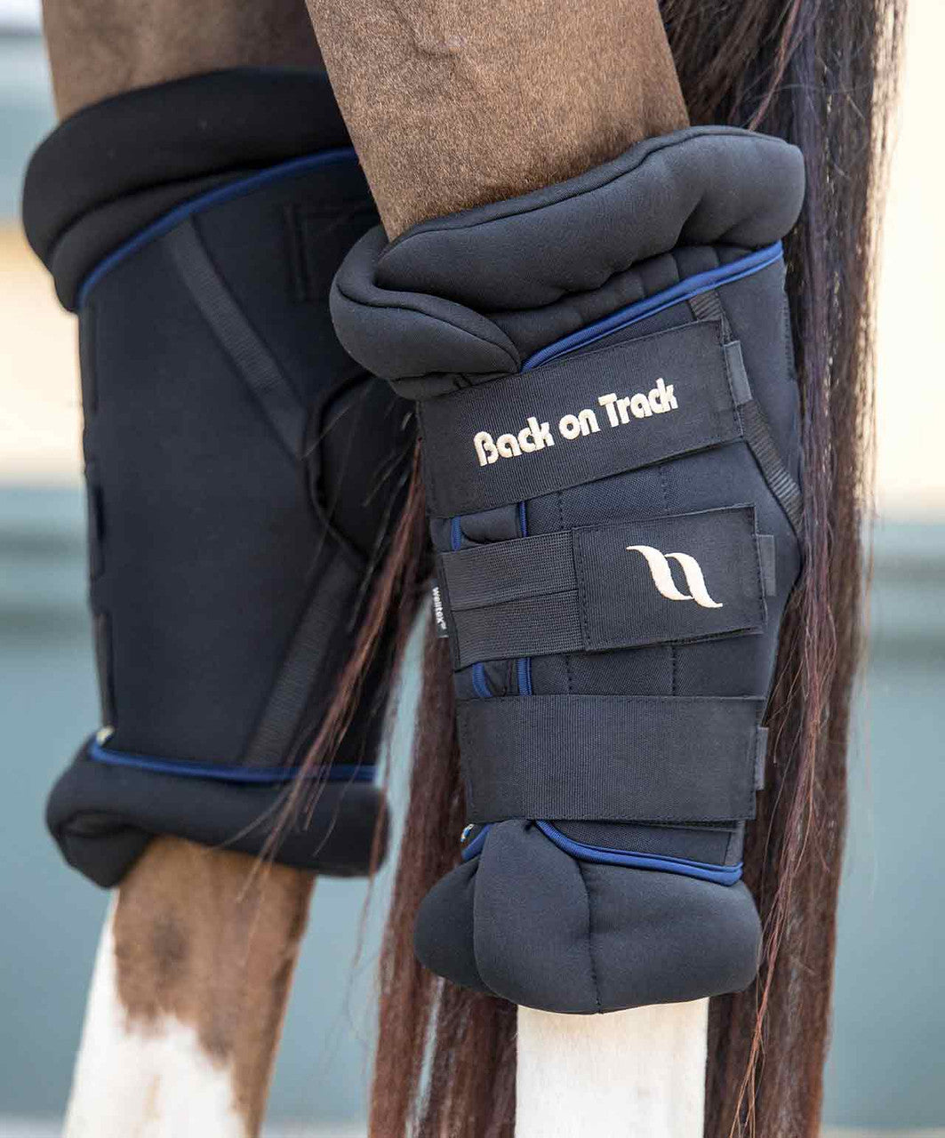 Back on Track Deluxe Hock Boot.