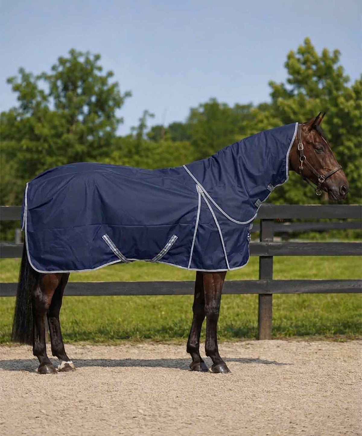 Century Equilayers Equishell 200 1680D Medium Turnout Blanket W Detachable Hood