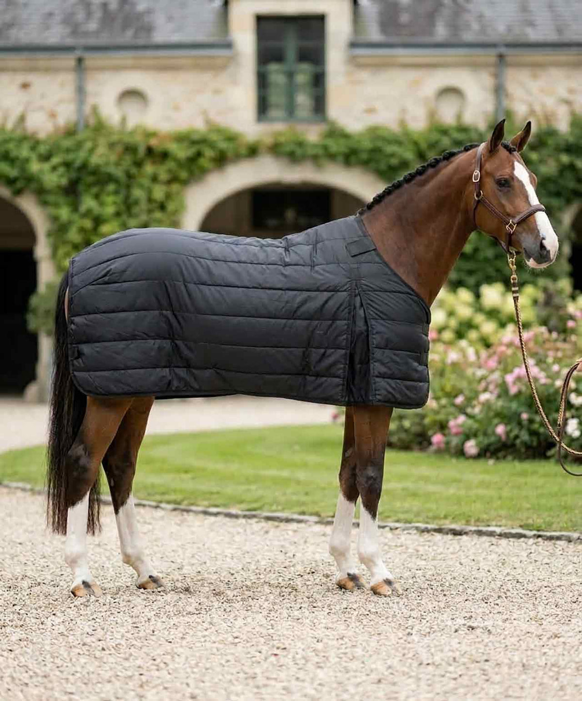 Century Equilayers Equibase Liner 50grams