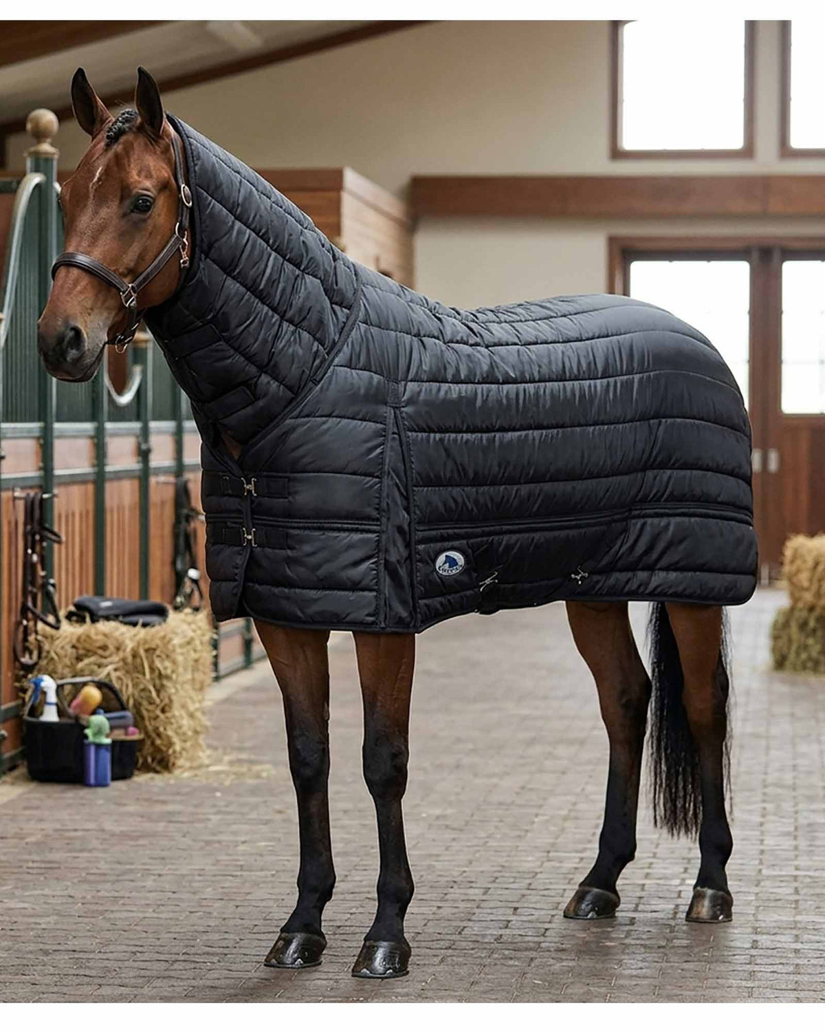 Century Equilayers Equibase 200g Liner with Neck