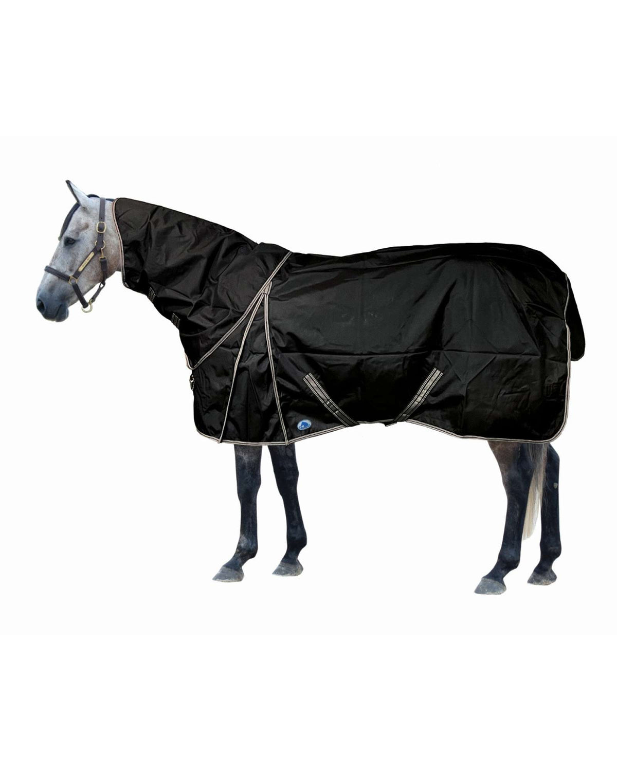 Century Equi Shell Turnout