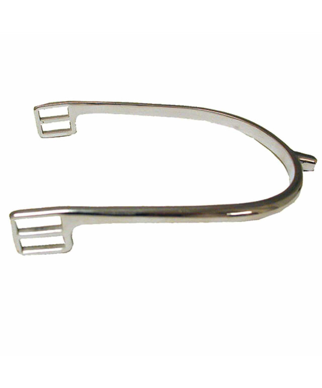 Close-up of single stainless steel Prince of Wales spur.