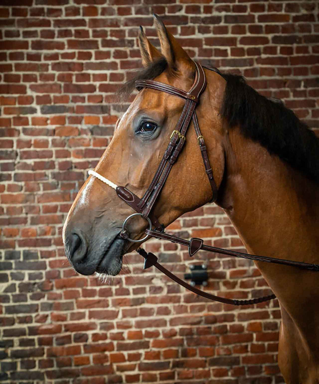 Dy'on D Collection Rope Noseband Bridle.