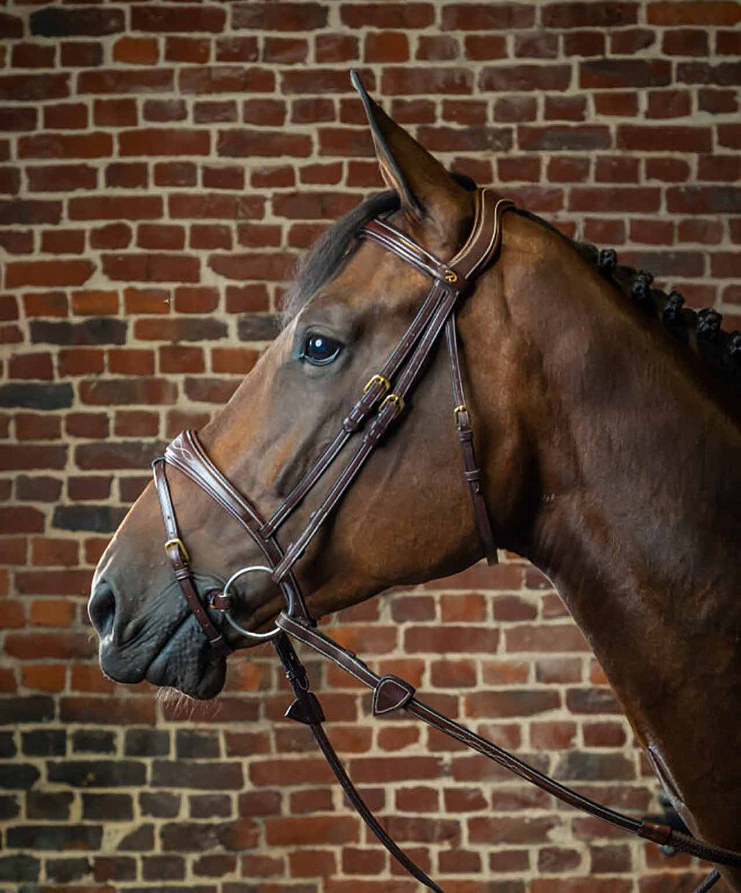 Dy'on Anatomic Flash Noseband Bridle.