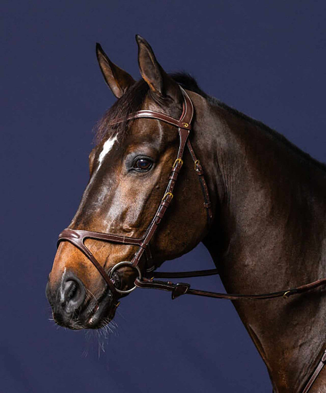 Dy'on D Collection X-Fit bridle.