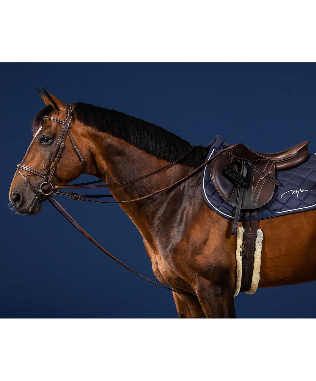 Dy'on US Jump Collection Draw Reins.