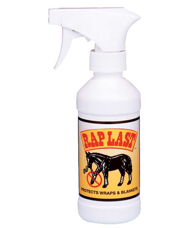 Rap Last