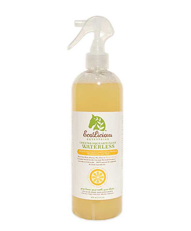 Ecolicious Waterless Squeaky Green & Clean Spray.