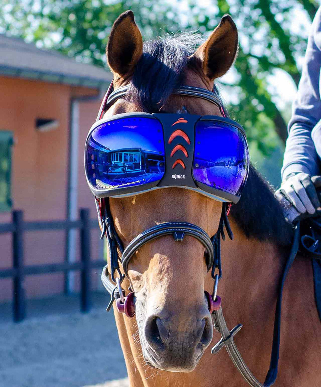 eQuick EVysor Replacement Lens.