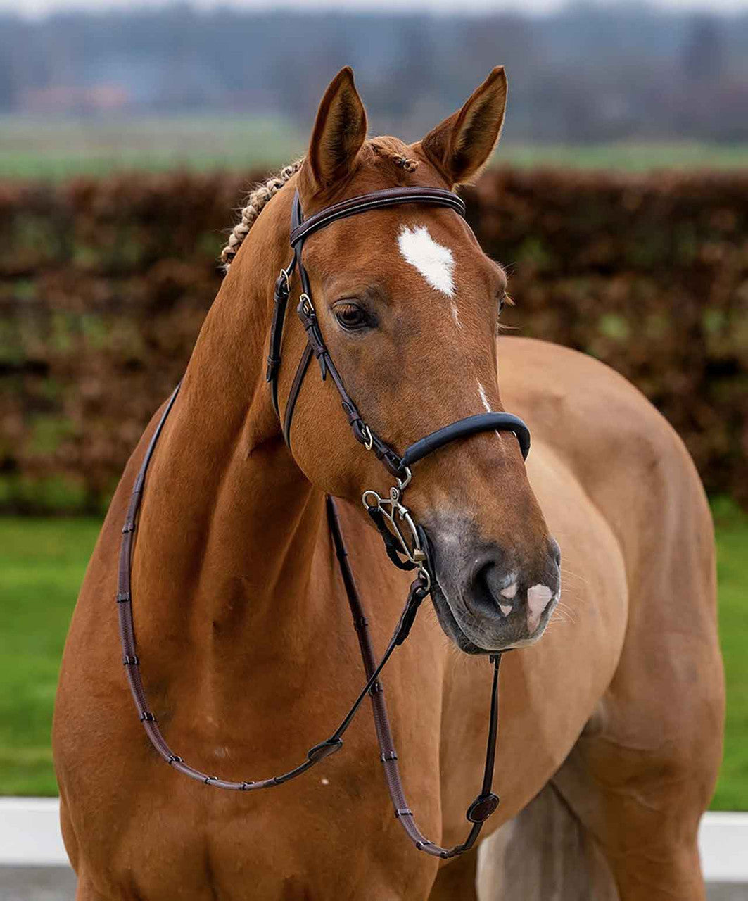 Trust Hickstead Hackamore Bridle.
