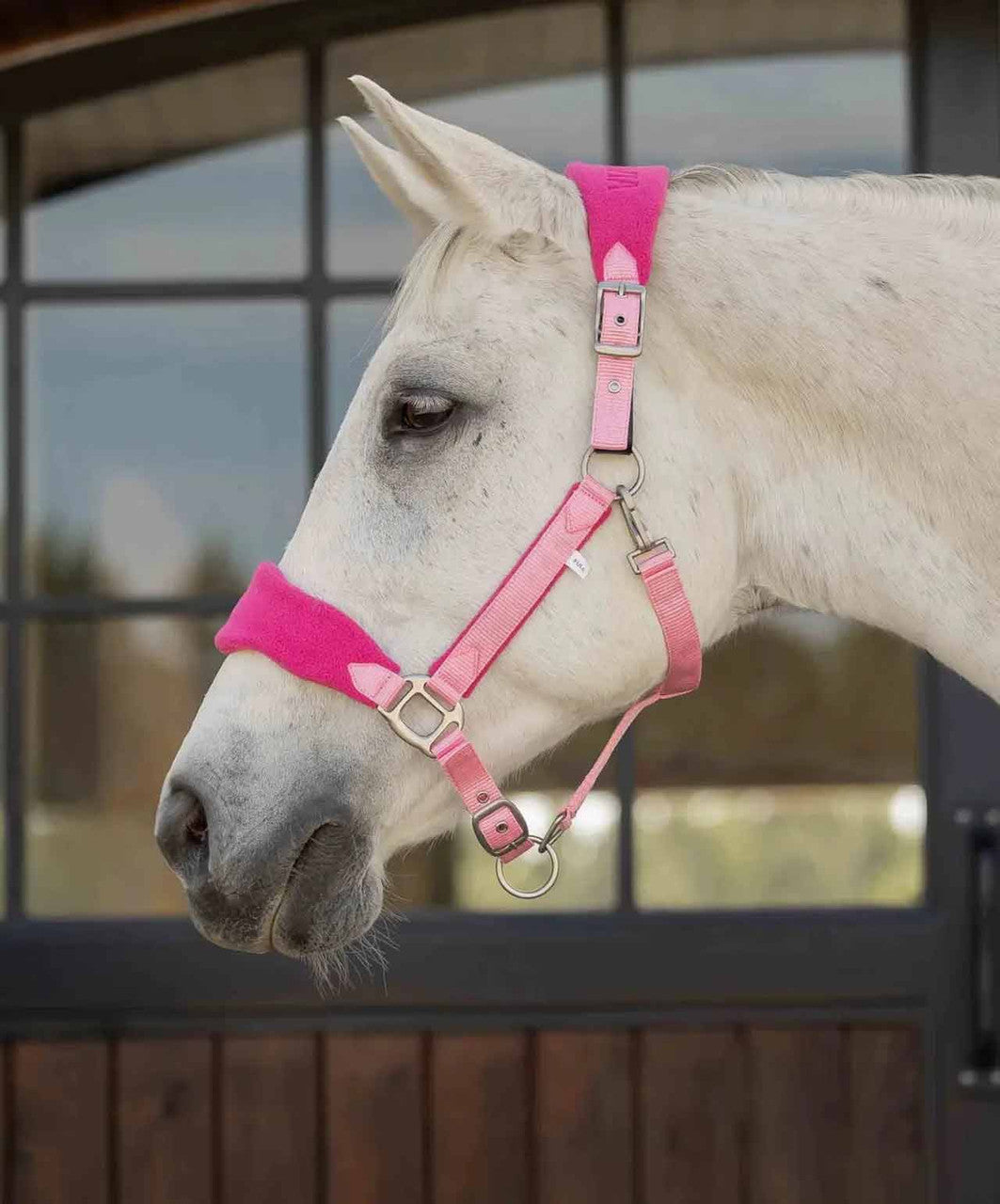 Equinavia Saga Fleece Padded Breakaway Halter SS26.