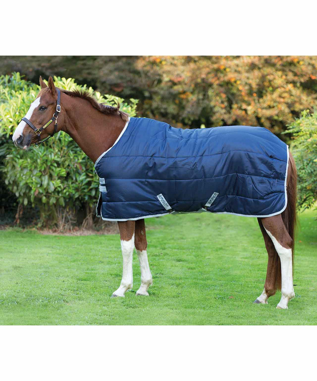 Amigo Insulator Medium (200g) stable blanket.